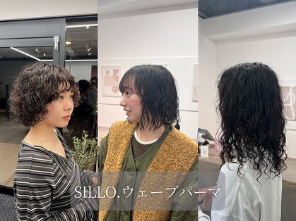 シロ(SILLO.)の写真