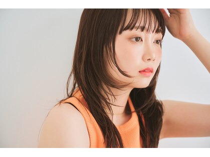 リトルカミス(little kamisu)の写真