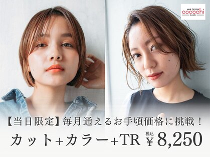 ココチ(Cocochi)の写真
