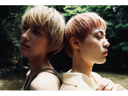 キジ(KIJI)の写真