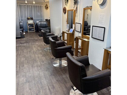 アジュガヘア(ajuga hair)の写真