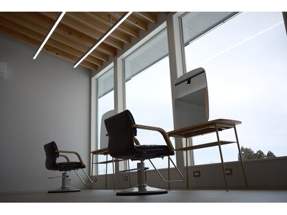 きいろとみどりとニワ(きいろとみどりとniwa)の写真