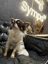 シンパ(Sympa)&nbsp;emma 