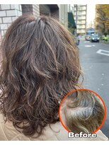 モイ(moy)&nbsp;脱白髪染め!ロッド式白髪ぼかしハイライト/グラデーションカラー