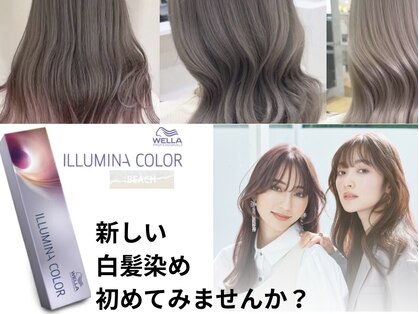 ヌーン(NOON)の写真