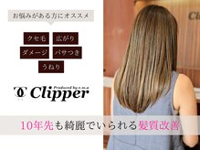 クリッパーループ(Clipper)