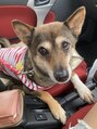 エマージュ 大宮(Emerge)&nbsp;犬と車が大好きです♪よく一緒にドライブに行きます☆