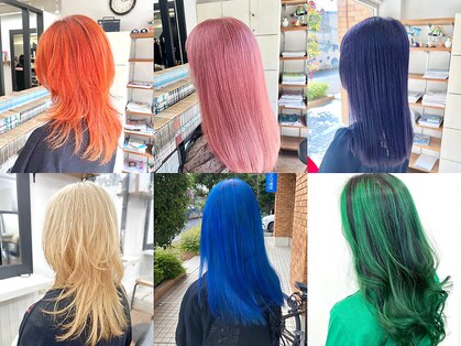 カノン(kanon)の写真
