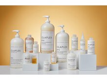 ベルフェミンミエルの雰囲気（《オラプレックス取り扱い店》ブリーチしてもツヤ髪キープ。）