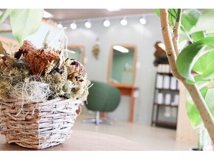 ブルーム(bloom)の写真