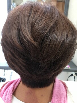 キュアハウス 青い鳥 ゴッホカラー/ショート