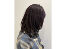 ジェネスタ(GENESTA)