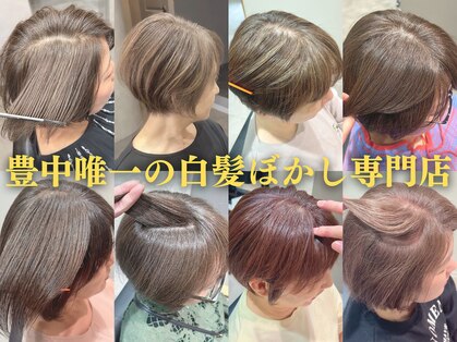 ミルシェ(MILSHE)の写真