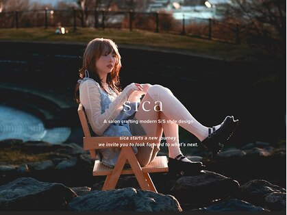 シカ(sica)の写真