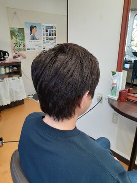 のりこの店 カラーカット