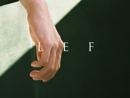 レフ(LEF)の写真