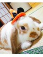 ネウィサリュー 立川(newi saLyu)&nbsp;ペットのウサギのモカちゃんです★[韓国/髪質改善/縮毛矯正]