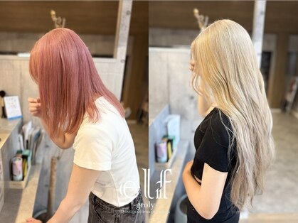 エルフグローリー(elf -glory-)の写真