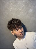 梅雨に活躍スペインカール