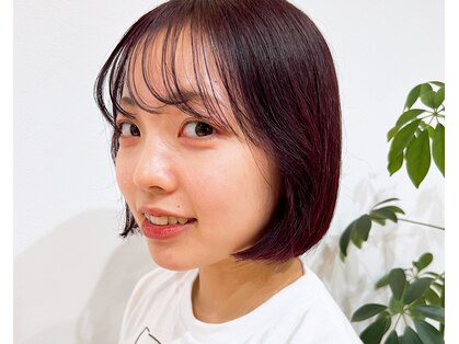 フリッカ(Flicka)の写真