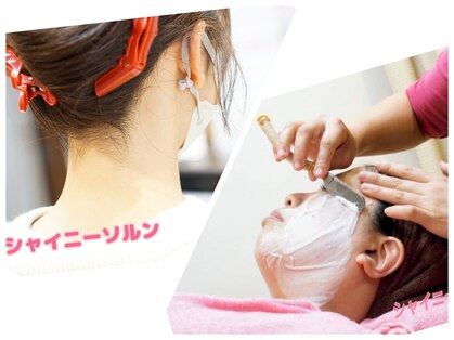 シャイニーソルンの写真