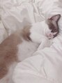ルーラ ヘア(LAURA) 実家で猫を飼っています。癒しです^^