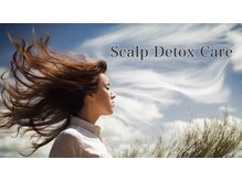 頭皮や髪がべたつく。重い。油っぽい。乾きにくいそんな方には［毛髪のデトックス］