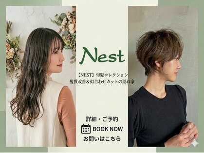 ネスト(Nest)の写真
