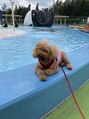 美容室ル・アール うちのララ子たんは、プールサイドがお好き♪