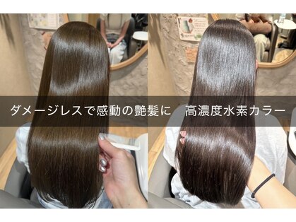 カナモ(Canamo)の写真