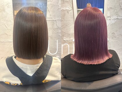 ユニ(Uni)の写真