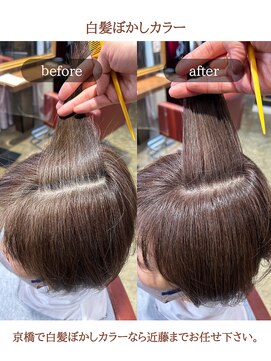 ステラ(STeLLa) 3【白髪ぼかし】40・50代　白髪ぼかしカラー