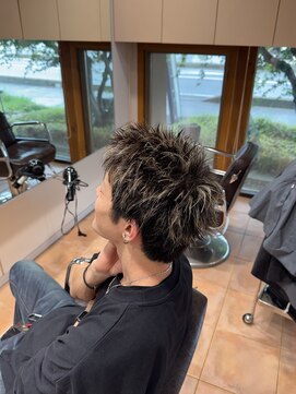 アルファサリダ(ALPHA SALIDA) スパイキーショート×メッシュ