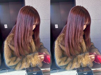 ソル(SOL)の写真