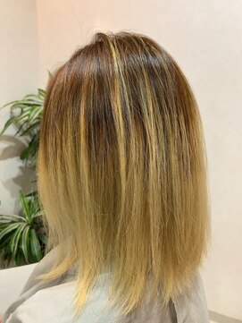 メイン クーン(Maine Coon) バレイヤージュ