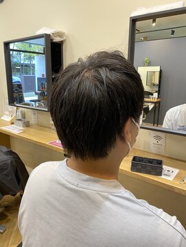 アルター(aL ter) 波巻き/ハイライト/マッシュパー マノウルフ