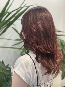 ファン(FAN) レッドブラウンカラー