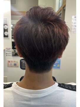 エルパライソ リフォ(Elparaiso Reff) 彩度抜群！レッドカラー！