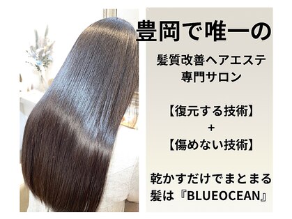 ブルーオーシャン 豊岡店(BLUEOCEAN)の写真