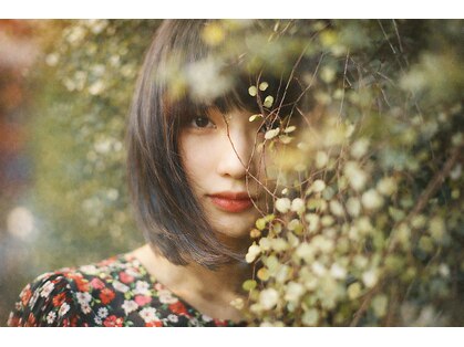 シアン(sian)の写真