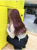 ピンクラベンダー