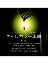 手触りと艶感を上げたい方に【イノアカラー】