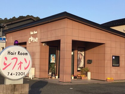 シフォンの写真