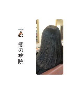 ブルーフィン シセロ(Blue Fin cicero) ケア力で髪をコントロール・・・新美容