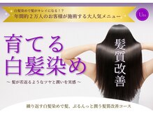 uru　髪質改善する白髪染め専門店　寺田町店【ウル】【11月上旬OPEN（予定）】の雰囲気（大人気、高品質ミルボンヘアケア商品も多く取り扱いあり◎）
