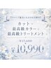 【口コミ確約】カット+最高級カラー+最高級トリートメント¥17,600→10,990