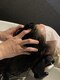 ピスケス(pisces)の写真/癒しと美しさを同時に叶えるヘッドスパ♪美髪の土台となる頭皮や毛髪のケアはpiscesにお任せ◎