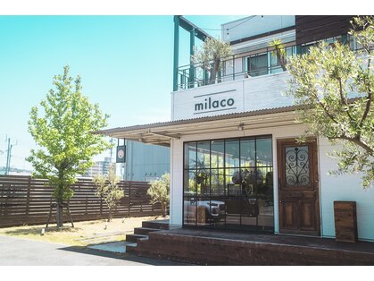 ミラコ(milaco)の写真