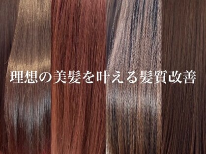 レナークイスト(LENAHC ist)の写真