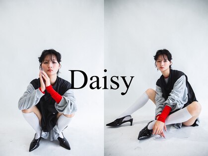 デイジー(Daisy)の写真